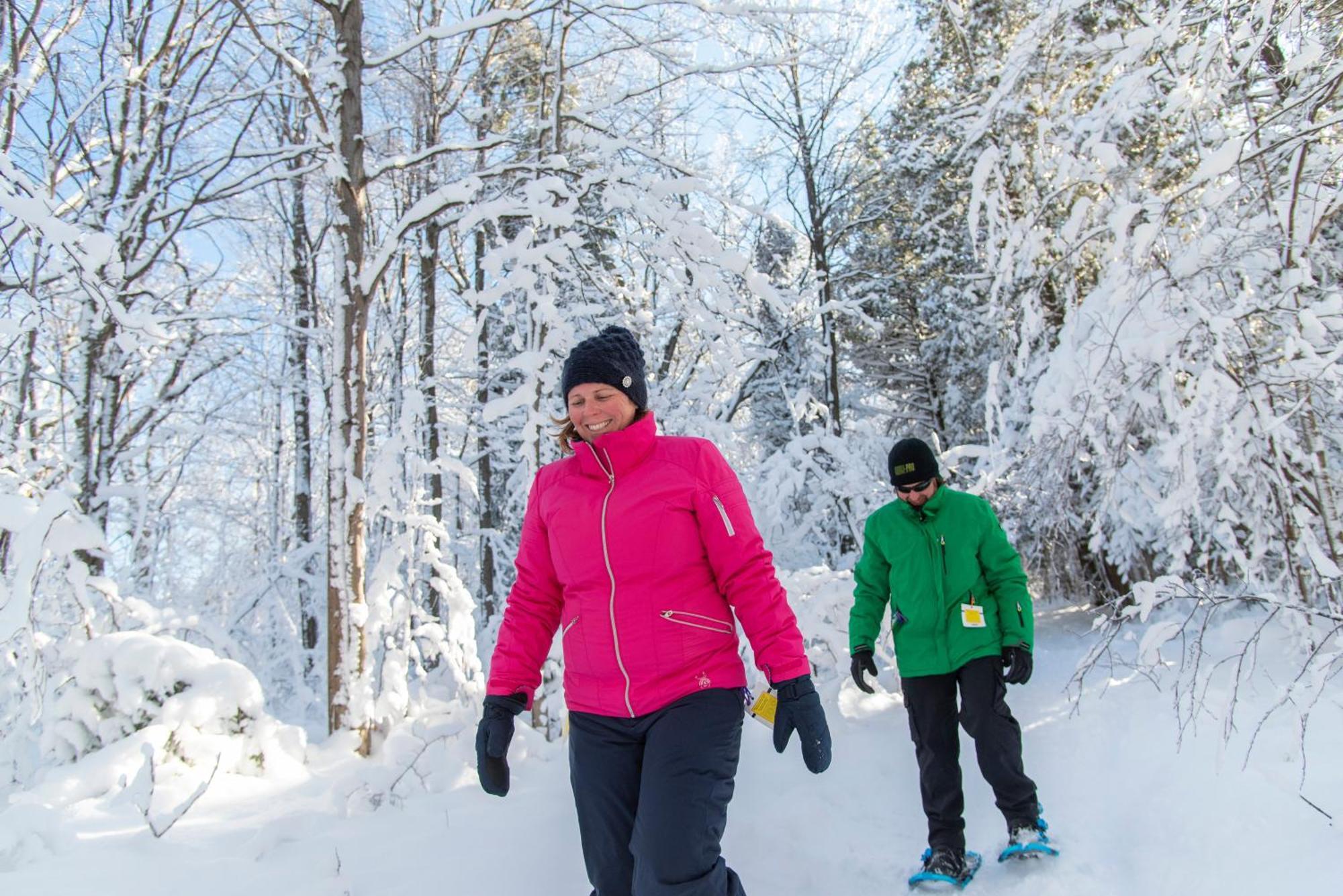 Blue Mountain Resort Inn ブルー・マウンテンズ エクステリア 写真